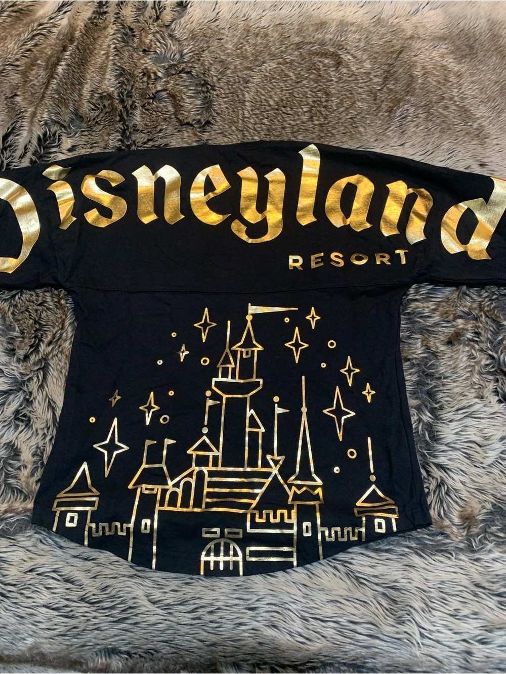 Disneyland Resort Sleeping Beauty Castle Spirit Jersey long sleeve Size XS